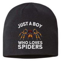 Cute Spider Web Tarantula Arachnid Sustainable Beanie