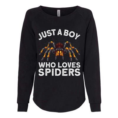 Cute Spider Web Tarantula Arachnid Womens California Wash Sweatshirt