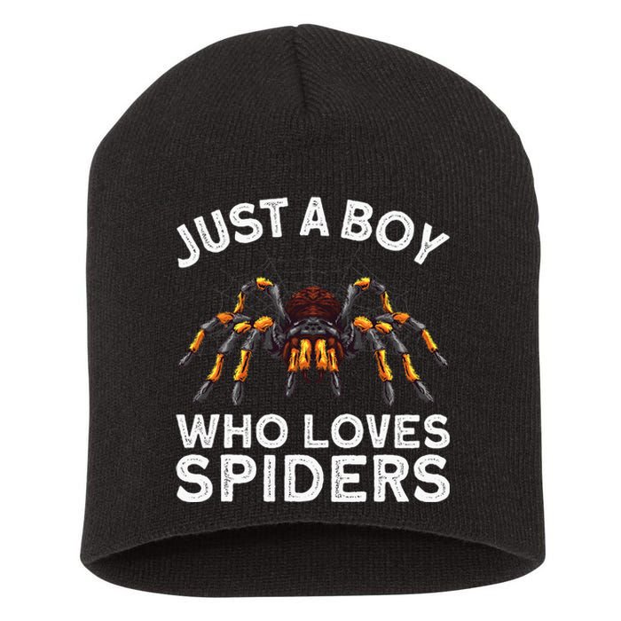 Cute Spider Web Tarantula Arachnid Short Acrylic Beanie