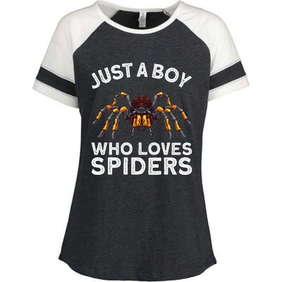 Cute Spider Web Tarantula Arachnid Enza Ladies Jersey Colorblock Tee