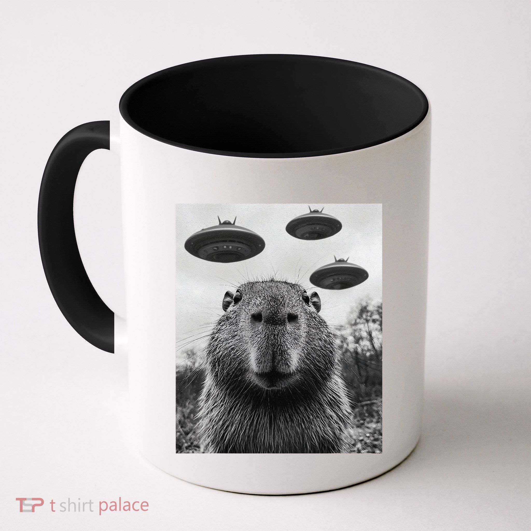 Capybara Selfie With Ufos Funny Graphic Mug