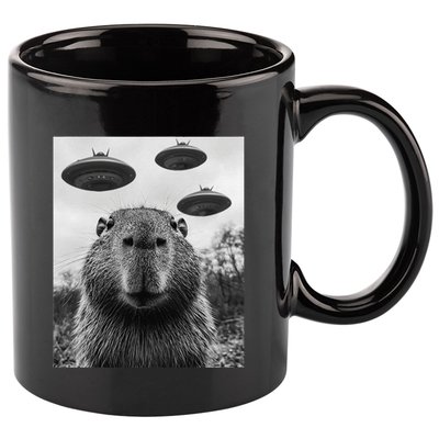 Capybara Selfie With Ufos Funny Graphic 11oz C Handle Ceramic Mug