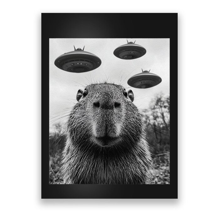 Capybara Selfie With Ufos Funny Graphic Poster