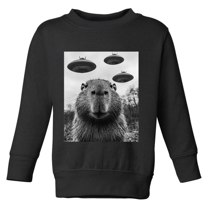 Capybara Selfie With Ufos Funny Graphic Toddler Sweatshirt