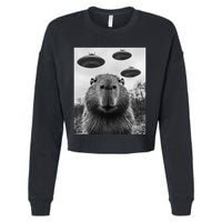 Capybara Selfie With Ufos Funny Graphic Cropped Pullover Crew
