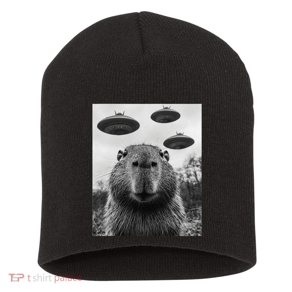 Capybara Selfie With Ufos Funny Graphic Short Acrylic Beanie
