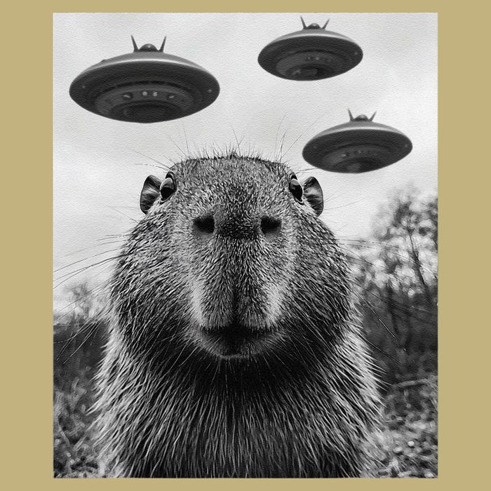 Capybara Selfie With Ufos Funny Graphic T-Shirt
