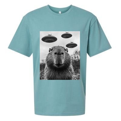 Capybara Selfie With Ufos Funny Graphic Sueded Cloud Jersey T-Shirt