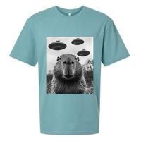 Capybara Selfie With Ufos Funny Graphic Sueded Cloud Jersey T-Shirt