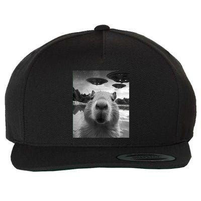 Capybara Selfie With Ufos Weird Wool Snapback Cap
