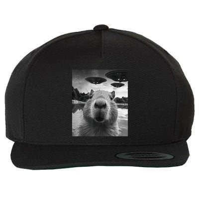 Capybara Selfie With Ufos Weird Wool Snapback Cap