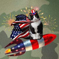 Cat Tuxedo 4th Of July Rocket With Fireworks USA Patriotic Legacy Tie Dye Trucker Hat