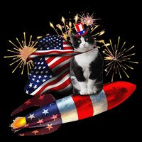 Cat Tuxedo 4th Of July Rocket With Fireworks USA Patriotic Flexfit Unipanel Trucker Cap