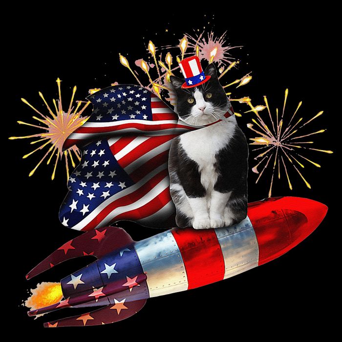 Cat Tuxedo 4th Of July Rocket With Fireworks USA Patriotic Flexfit Unipanel Trucker Cap