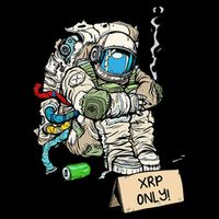 Cryptocurrency Talk - Astronaut Hodler Begging For XRP Flat Bill Trucker Hat