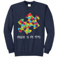 Choose To Be Kind Autism Puzzle Piece Gift Sweatshirt