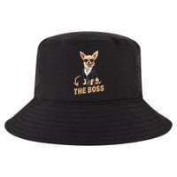 Chihuahua The Boss Funny Chihuahua Owner Chihuahua Dog Lover Cool Comfort Performance Bucket Hat
