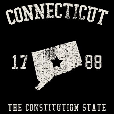 Connecticut The Constitution State Vintage T-Shirt