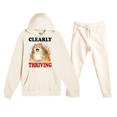 Clearly Thriving Cat Flame Funny Gift Premium Hooded Sweatsuit Set