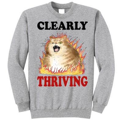 Clearly Thriving Cat Flame Funny Gift Tall Sweatshirt