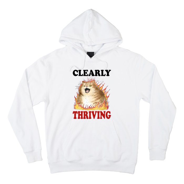 Clearly Thriving Cat Flame Funny Gift Hoodie