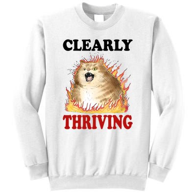 Clearly Thriving Cat Flame Funny Gift Sweatshirt