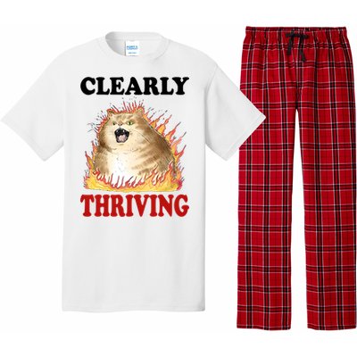 Clearly Thriving Cat Flame Funny Gift Pajama Set