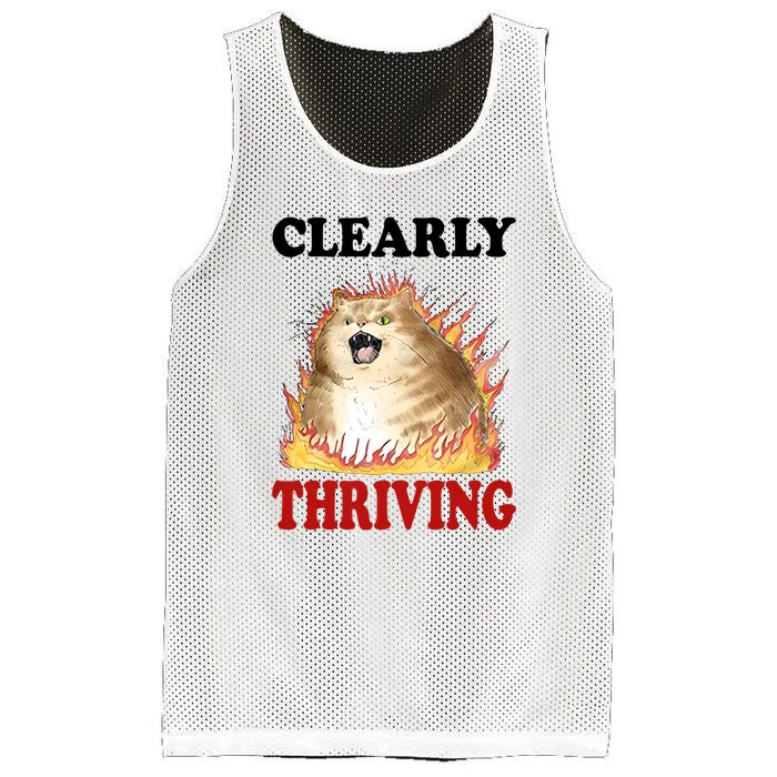 Clearly Thriving Cat Flame Funny Gift Mesh Reversible Basketball Jersey Tank