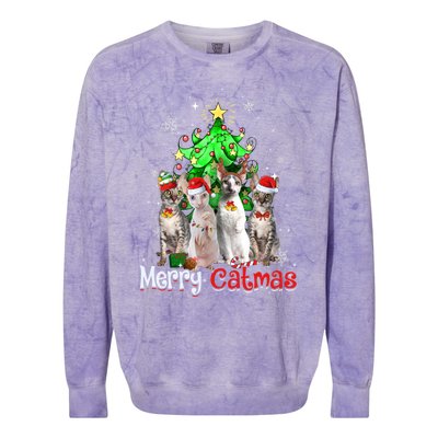 Christmas Tree Cornish Rex Cat Merry Catmas Xmas Cat Funny Gift Colorblast Crewneck Sweatshirt