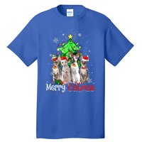 Christmas Tree Cornish Rex Cat Merry Catmas Xmas Cat Funny Gift Tall T-Shirt