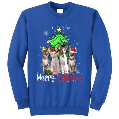 Christmas Tree Cornish Rex Cat Merry Catmas Xmas Cat Funny Gift Tall Sweatshirt