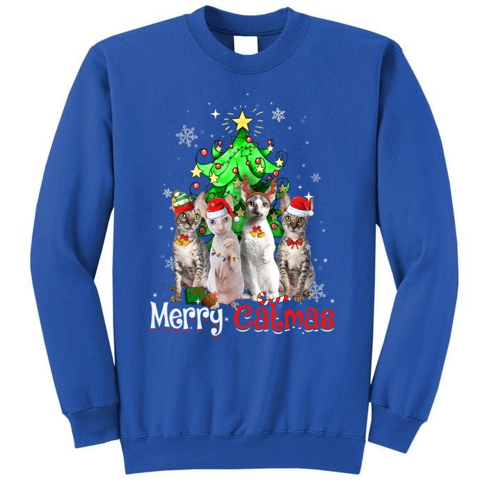 Christmas Tree Cornish Rex Cat Merry Catmas Xmas Cat Funny Gift Tall Sweatshirt