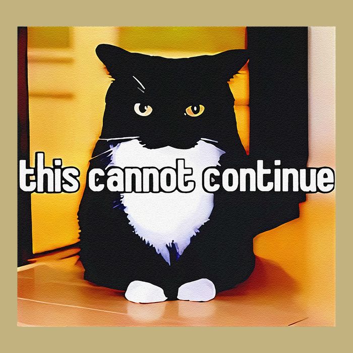 Cat This Cannot Continue T-Shirt