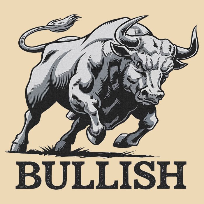 Crypto Trader Cryptocurrency Investor Day Trading Bullish Bag
