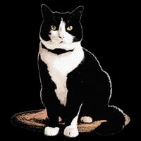 Cat Tuxedo Cat   Black Small Short Sleeve Classic Fit Tuxedo Cat Design Poster