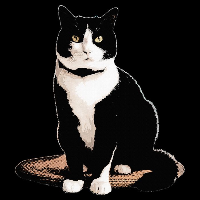 Cat Tuxedo Cat   Black Small Short Sleeve Classic Fit Tuxedo Cat Design Poster