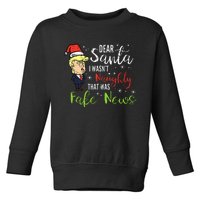 Christmas Trump Dear Santa Fake News Funny Xmas Toddler Sweatshirt