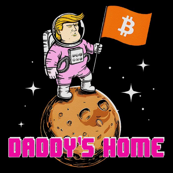 Cute Trump DaddyS Home Bitcoin Bullrun Humor Comeback Team Bucket Hat