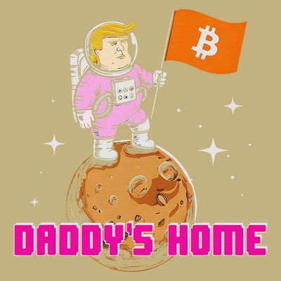 Cute Trump DaddyS Home Bitcoin Bullrun Humor Comeback Team T-Shirt
