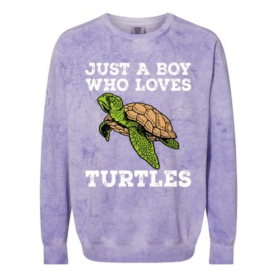 Cool Turtle Design For Boy Sea Turtle Animal Lover Colorblast Crewneck Sweatshirt