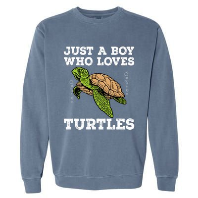 Cool Turtle Design For Boy Sea Turtle Animal Lover Garment-Dyed Sweatshirt