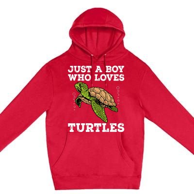 Cool Turtle Design For Boy Sea Turtle Animal Lover Premium Pullover Hoodie