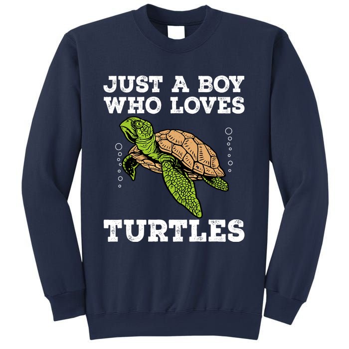 Cool Turtle Design For Boy Sea Turtle Animal Lover Sweatshirt