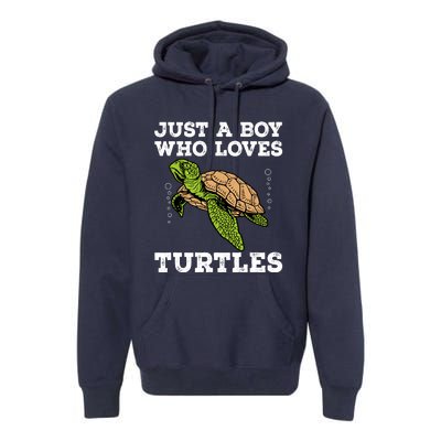 Cool Turtle Design For Boy Sea Turtle Animal Lover Premium Hoodie