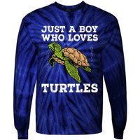 Cool Turtle Design For Boy Sea Turtle Animal Lover Tie-Dye Long Sleeve Shirt