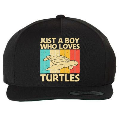 Cool Turtle Design For Sea Turtle Aquatic Animal Wool Snapback Cap