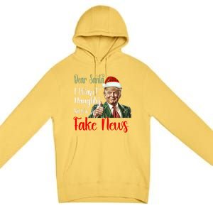 Christmas Trump Dear Santa Fake News Funny Xmas Gift Premium Pullover Hoodie