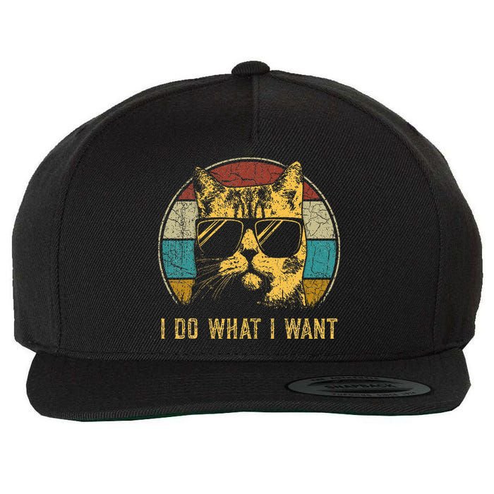 Cat Themed Funny I Do What I Want Cat Wool Snapback Cap