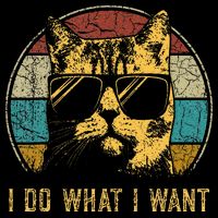 Cat Themed Funny I Do What I Want Cat Wool Snapback Cap