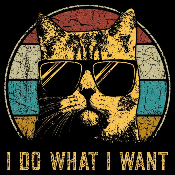 Cat Themed Funny I Do What I Want Cat Wool Snapback Cap